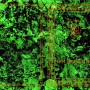 Мастеру коноплеводства Мастеру коноплеводства